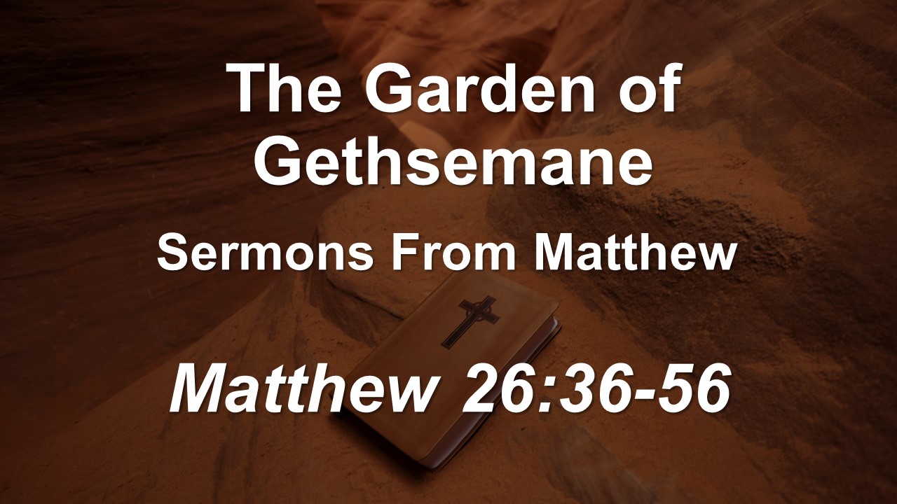 The Garden of Gethsemane