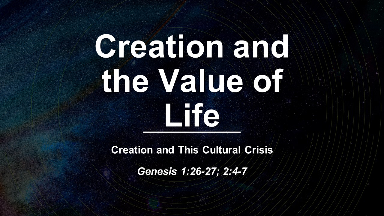 Creation and the Value of Life