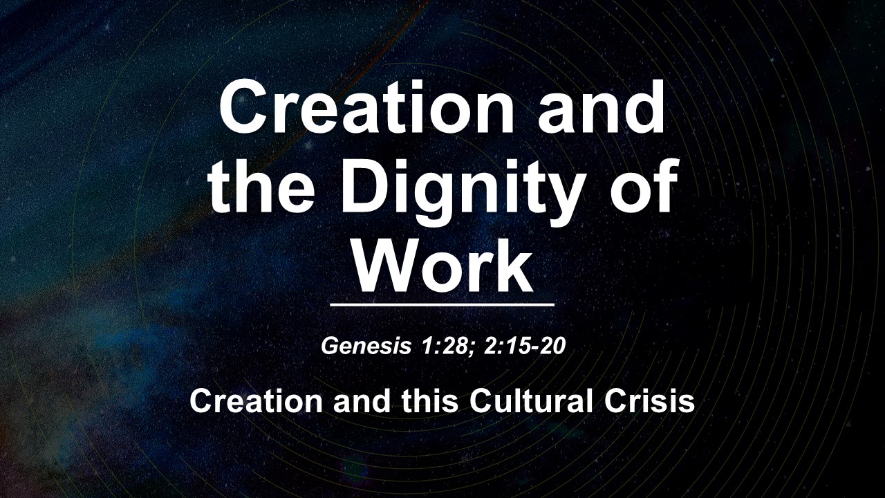 Creation and the Dignity of Work