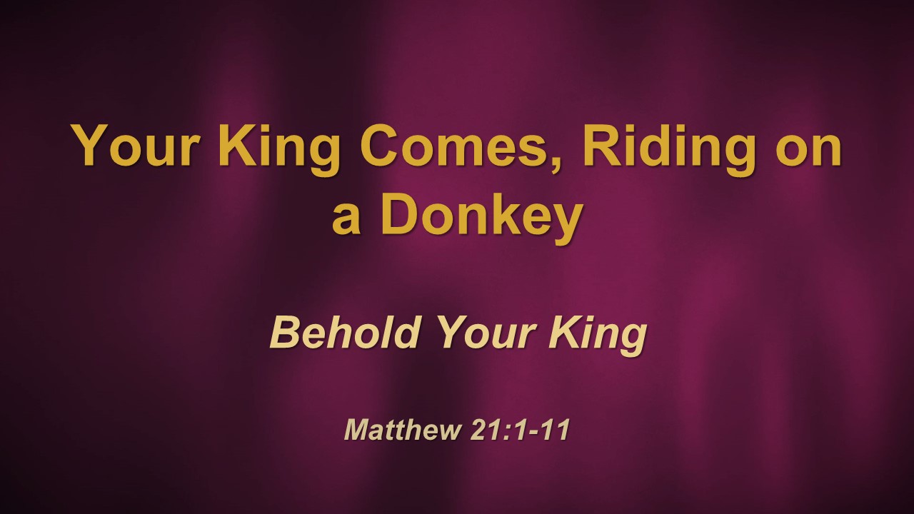 Behold Your King, Riding on a Donkey