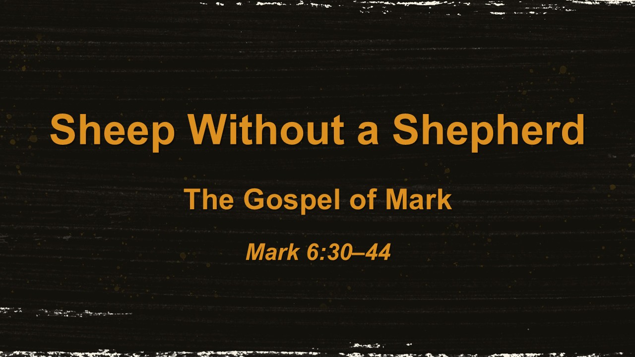 Sheep Without a Shepherd